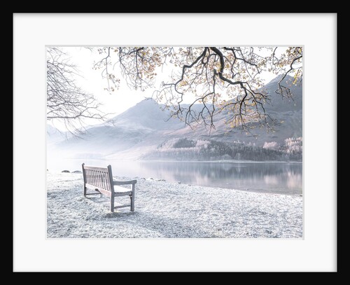Bench by still lake by Assaf Frank